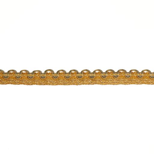 Gavotte Gimp Braid - Colour 38